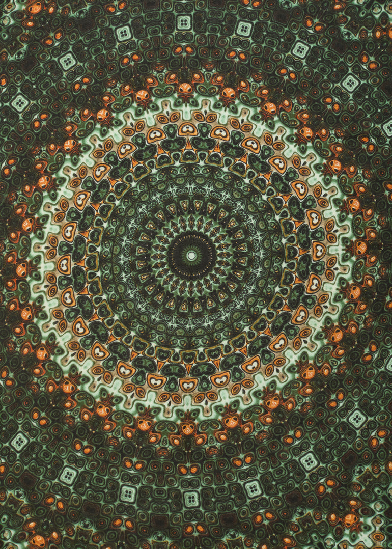 BOSC0164-3