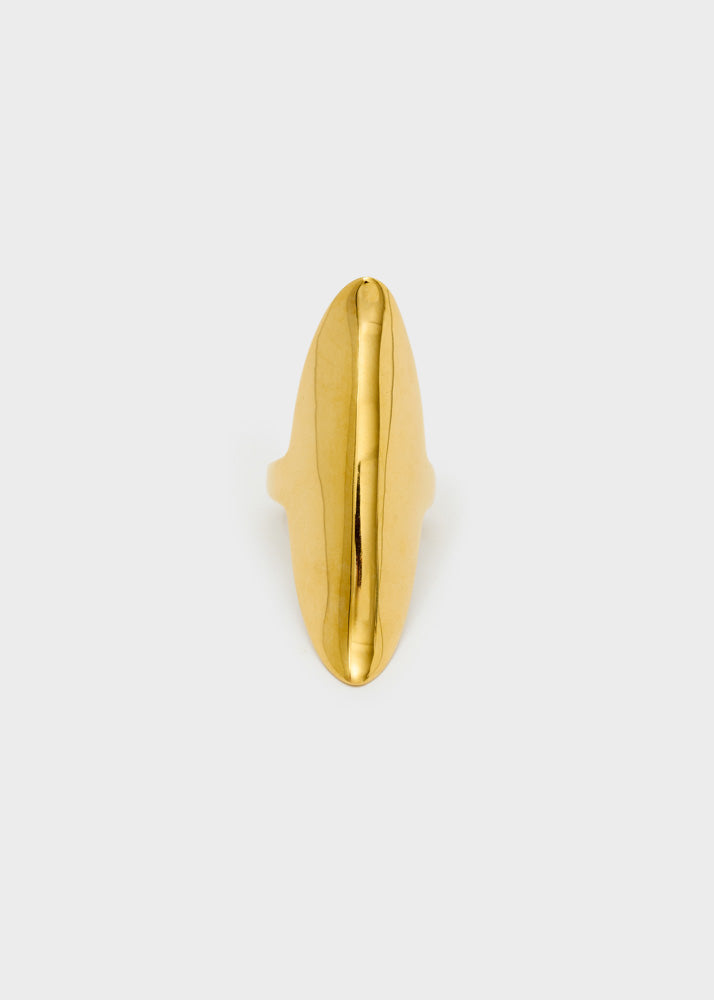 DWAN0271-1