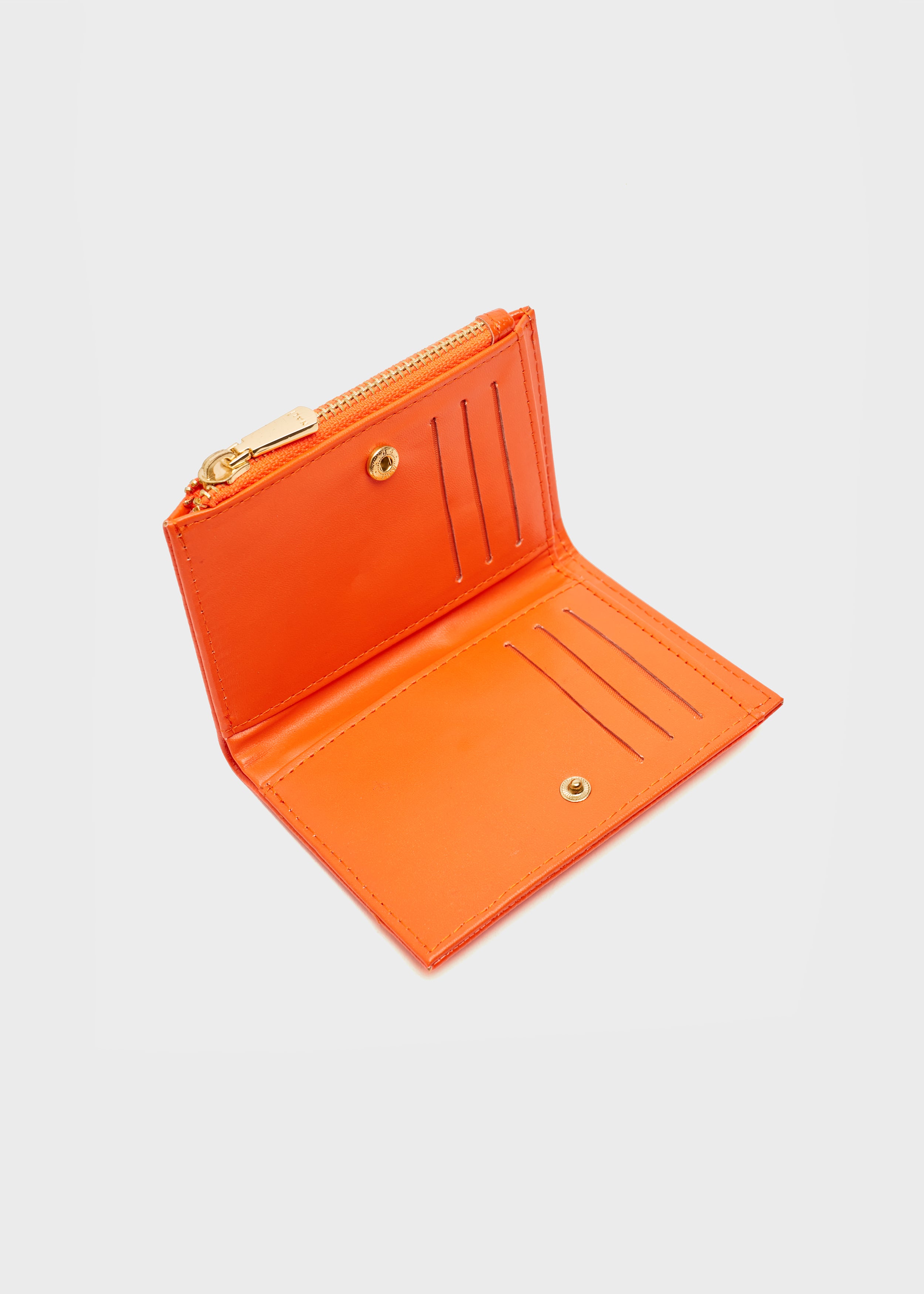 TOPO0008-2