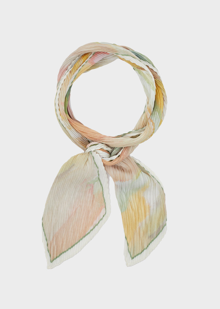WNSC0001-2