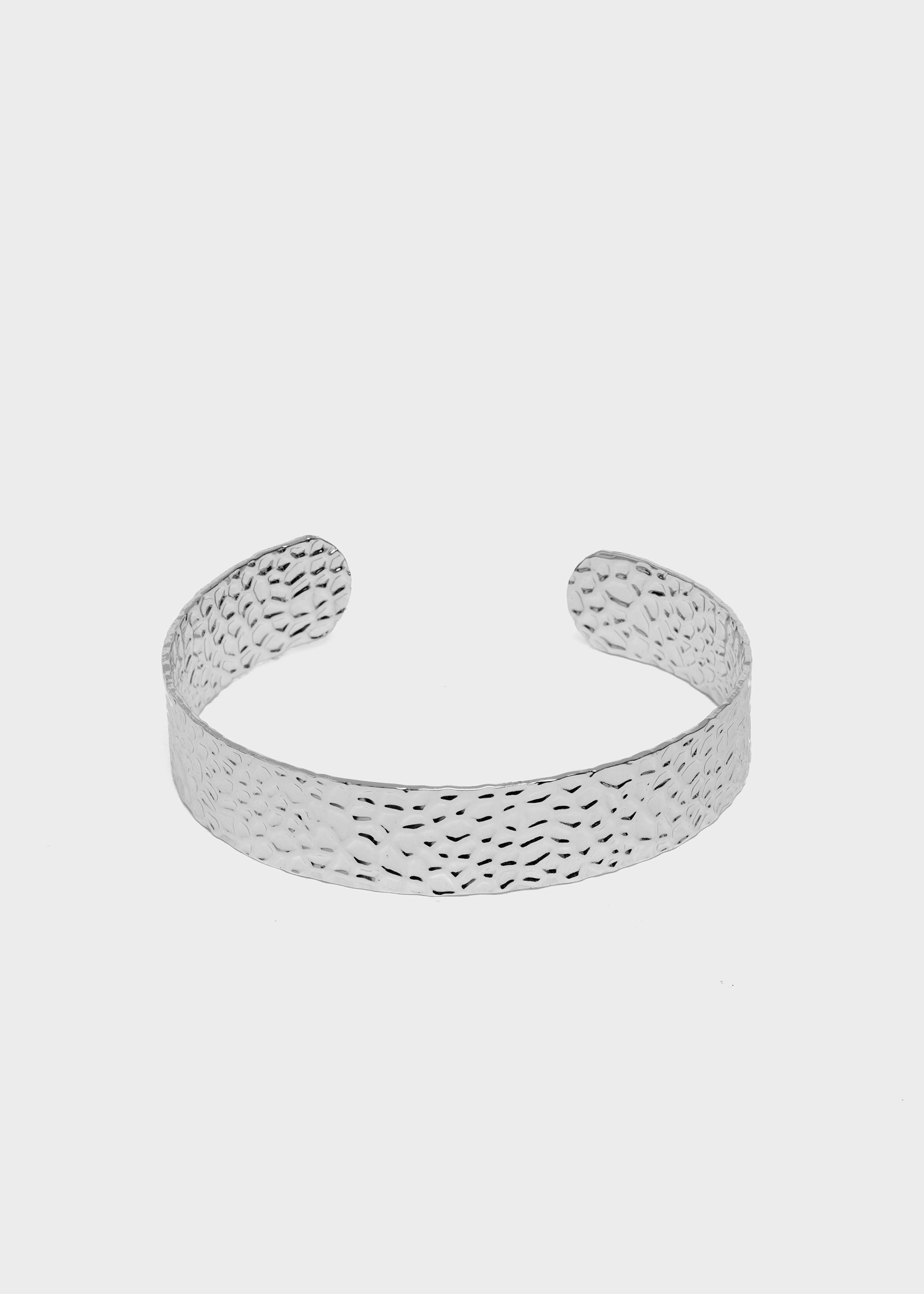 EMBR0263-1