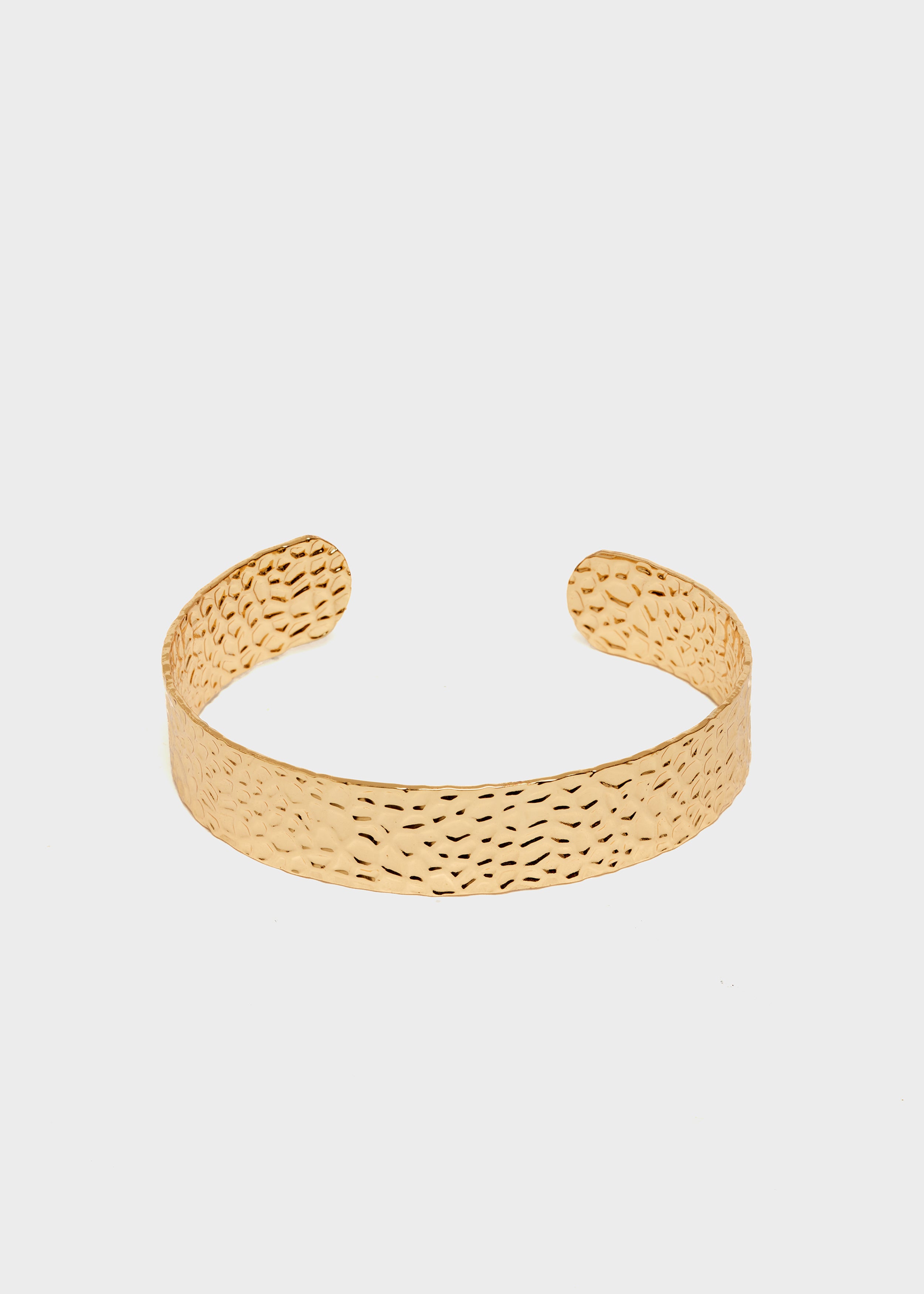 EMBR0264-2